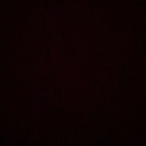 Meet your Posher, Jackson